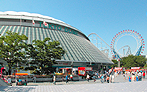 Tokyo Dome